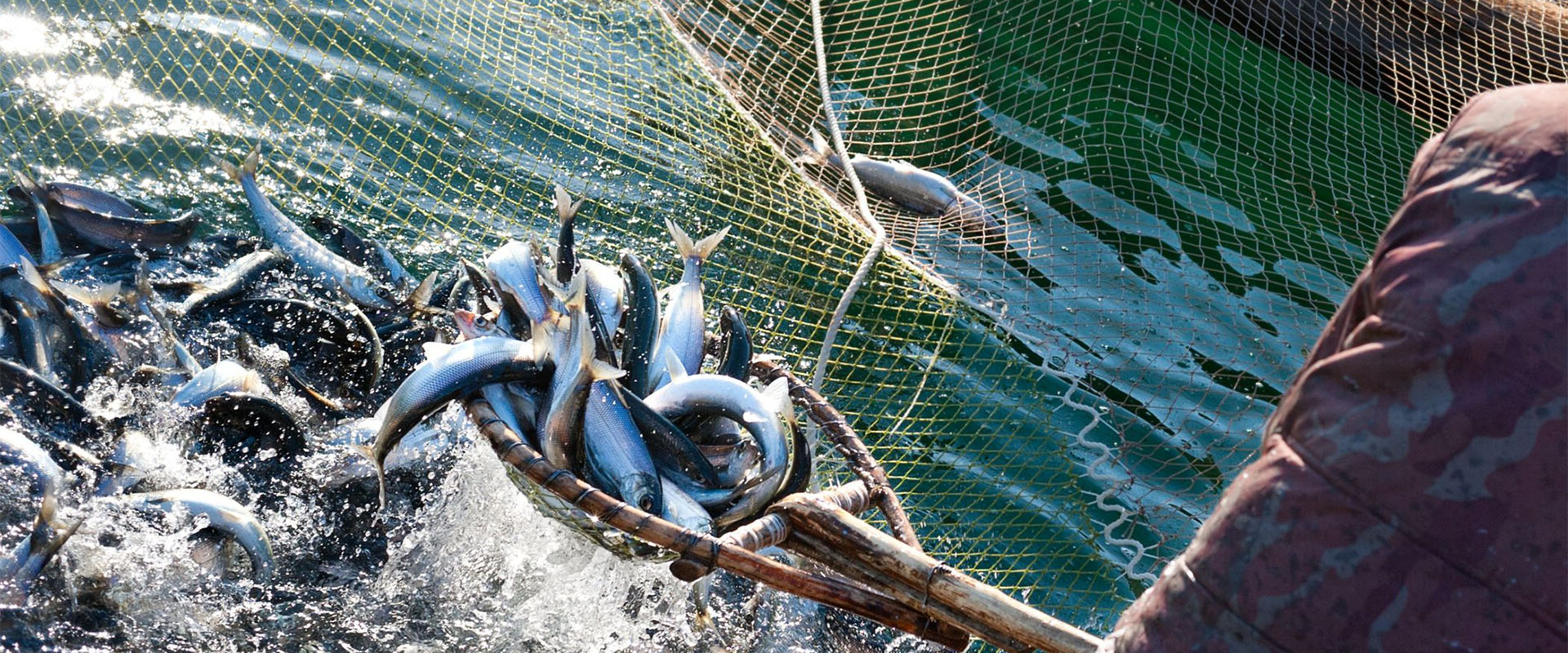 Energy saving & risk reduction